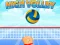 Igra High Volley spletu