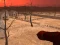Igra Wasteland Shooters spletu