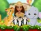 Igra Moana Cute Zoo spletu