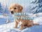 Igra Winter Pets Puzzle spletu
