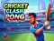 Igra Cricket Clash Pong spletu