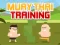 Igra Muay Thai Training spletu