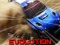 Igra Nitro Rally Evolution spletu