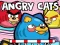 Igra Angry Cats spletu