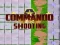 Igra Commando Shooting spletu