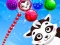 Igra Raccoon Rescue spletu