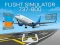 Igra Flight Simulator 737-800 spletu