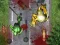 Igra Crush The Zombies spletu