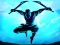 Igra Shadow Ninja Revenge spletu