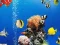 Igra Sea Underwater Difference spletu