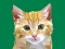 Igra Idle Painter spletu