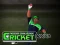 Igra Cricket Fielder Challenge spletu