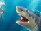 Igra Shark Hunting spletu