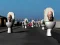 Igra Hunt Skibidi Toilet spletu