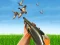 Igra Bird Hunting spletu