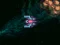 Igra Asteroid Crush spletu