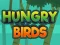Igra Hungry Birds spletu
