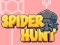 Igra Spider Hunt spletu