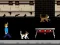 Igra Streamer Fashion Run spletu