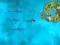 Igra Survive the Sharks spletu