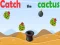 Igra Catch The Cactus spletu
