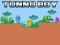 Igra Tunno Boy spletu