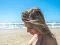 Igra Summer Beach & Girls spletu