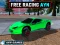 Igra Free Racing Ayn spletu