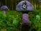 Igra Mushroom Forest Adventure spletu