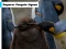 Igra Emperor Penguin Jigsaw spletu