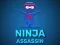 Igra Ninja Assassin spletu