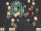 Igra Turn Based spletu