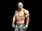 Igra Fight Arena Online spletu