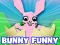 Igra Bunny Funny spletu