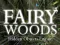 Igra Fairy Woods Hidden Objects spletu