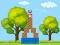 Igra Box Challenge spletu