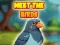 Igra Meet The Birds spletu