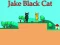 Igra Jake Black Cat spletu