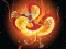 Igra Chinese Dragons Coloring spletu