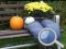 Igra Autumn Garden Find 100 butterflies spletu