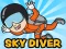 Igra Skydiver spletu