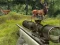 Igra Stag Hunt spletu