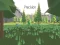 Igra Precision spletu
