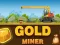 Igra Amazing Gold Miner spletu