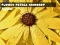 Igra Flower Petals Raindrop Jigsaw spletu