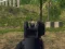 Igra Army Shooter spletu
