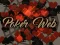 Igra Poker Web spletu