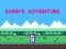Igra Bunn's Adventure spletu
