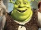 Igra Shrek Jigsaw Puzzle Collection spletu