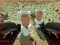 Igra Shooting Survival Skibidi Toilet spletu